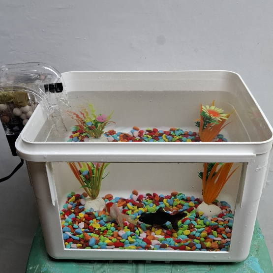 Aquarium ikan kura - kura box katak reptil tahan air