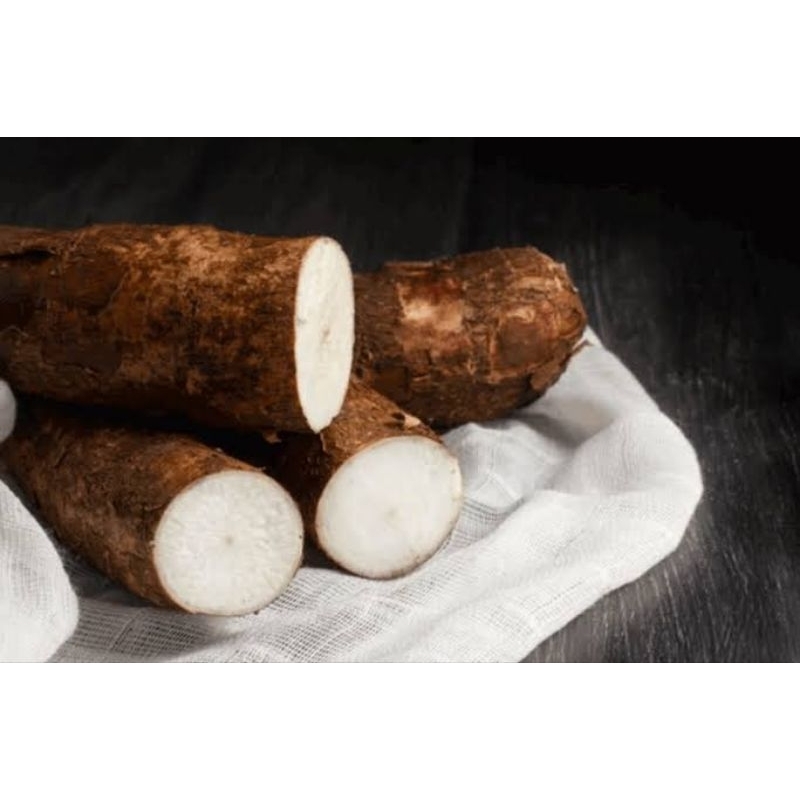 

SINGKONG ENAK FRES/1 KG