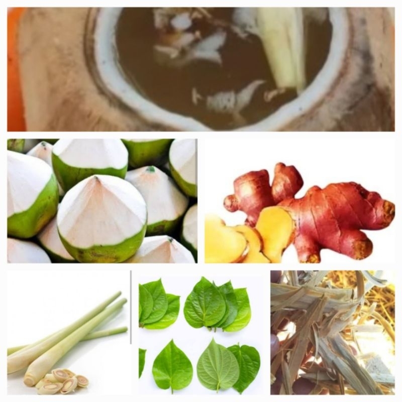 

KELAPA MUDA bakar dengan rempah rempah dijual paket masih mentah