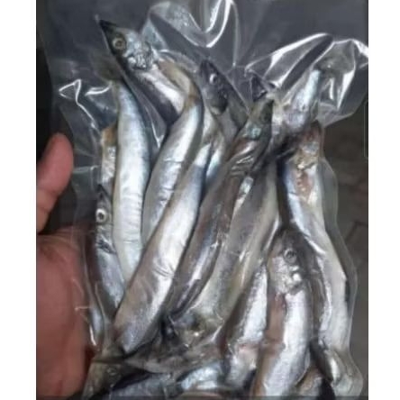 

IKAN SHISAMO PETELUR KHAS JEPANG 500 GRAM