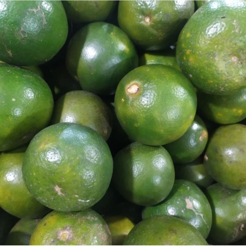 

JERUK PERAS / JERUK FRESH / JERUK HIJAU 500 Gram