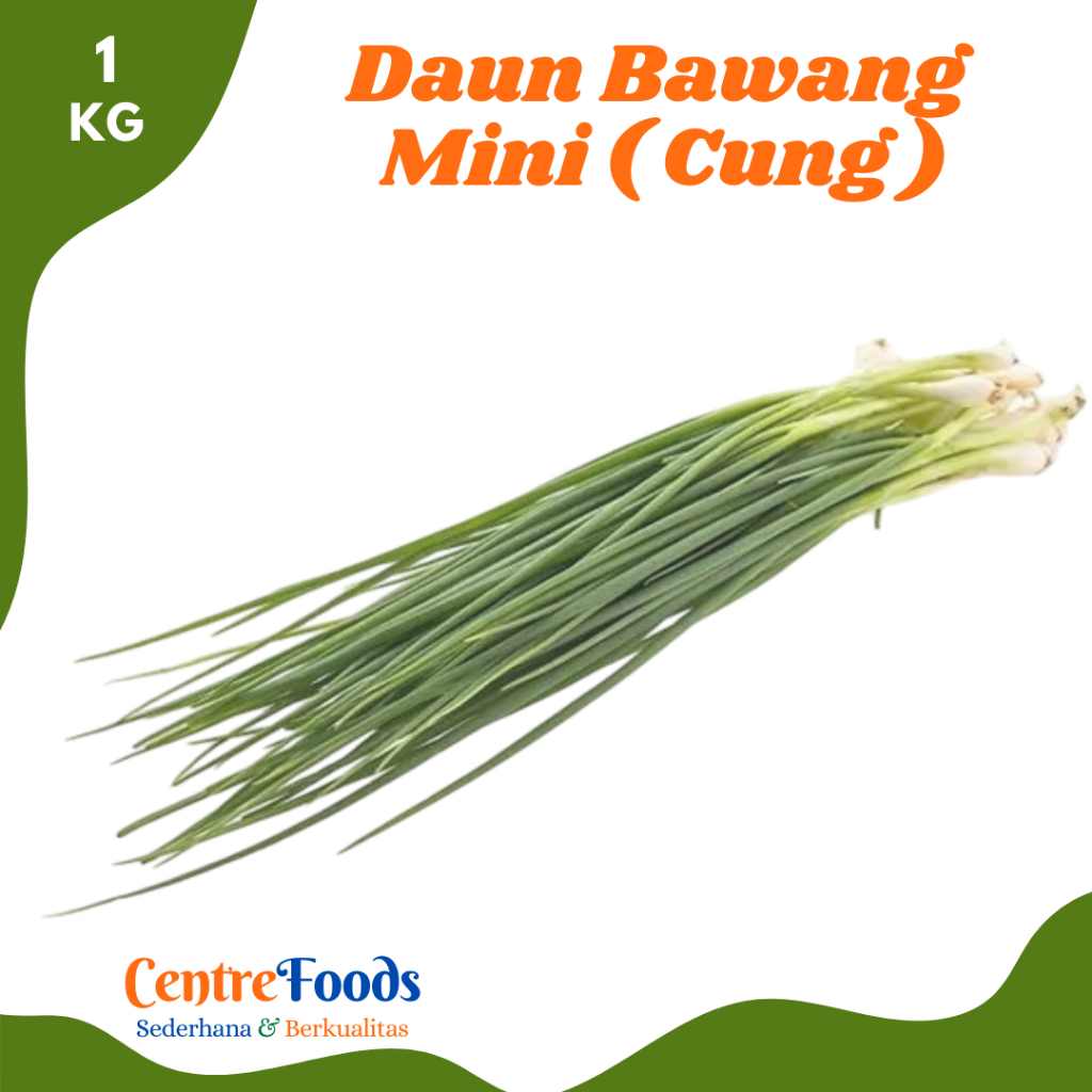 

DAUN Bawang Cung - Bawang Daun Mini Lokio Fresh | 1.000gr [ Harga Per KG ]
