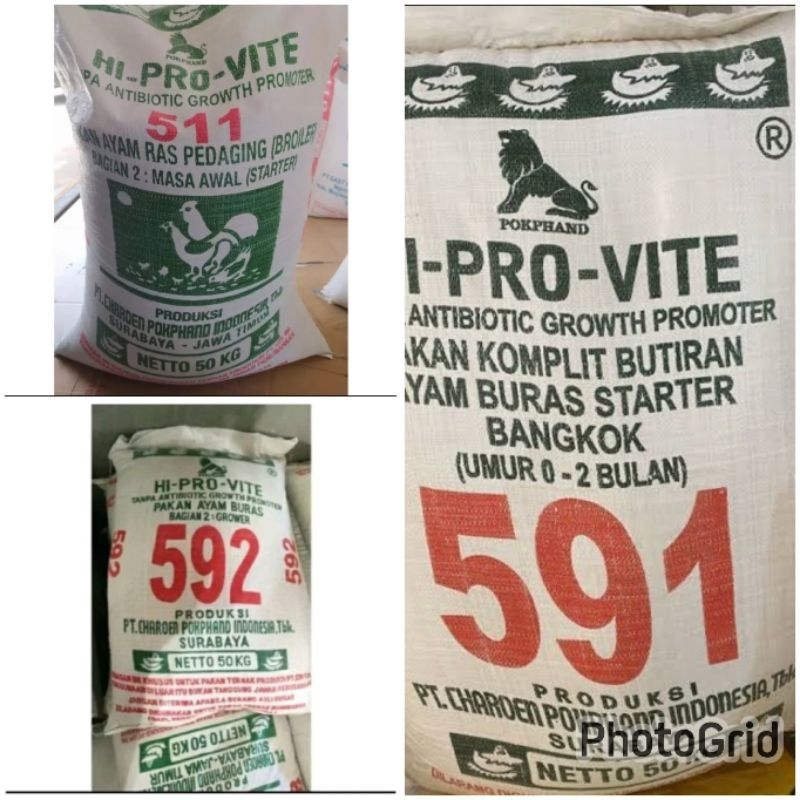 Pur Ayam Starter Pedaging Pur Ayam Bangkok 591 592 511 hi pro vite Ayam anakan remaja & pedaging 500