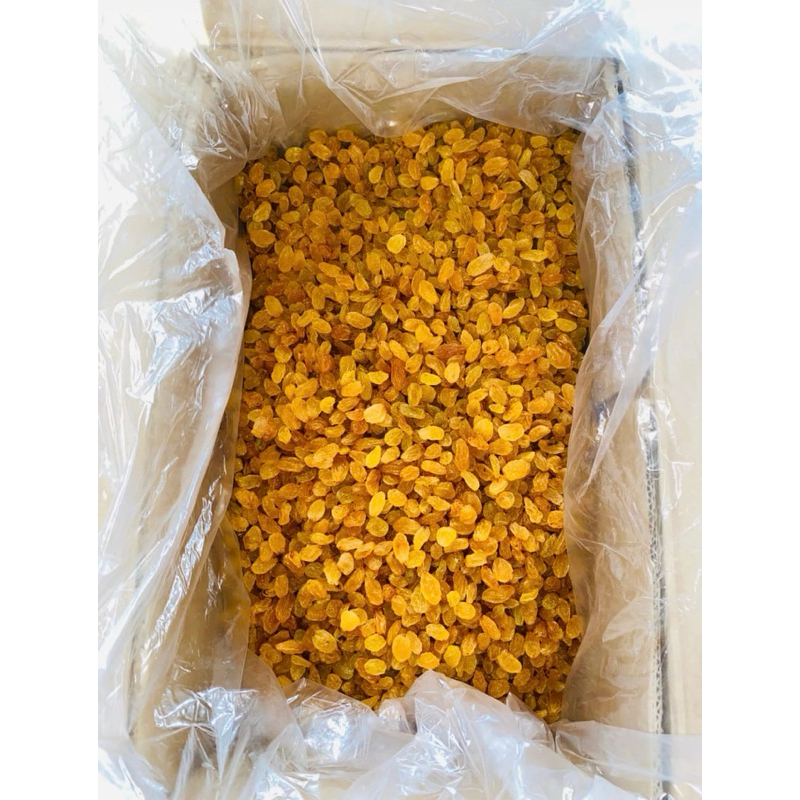 

Kismis asam manis goldent raisin fres 1kg