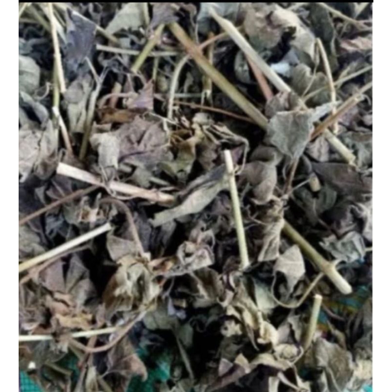

Daun kopasanda kering daun kirinyuh kering 250 gram