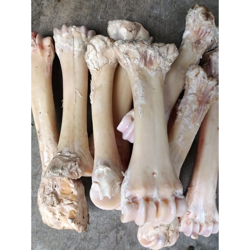 

Tulang skengkel sapi 1 kg