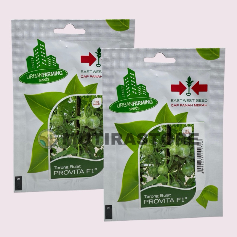benih terong lalap bulat Provita Fi isi 150 butir cap panah merah