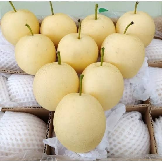 

Buah Pear Putih Renyah Manis Kaya Vitamin C Rasa Segar dan berkualitas tinggi Harga per kg