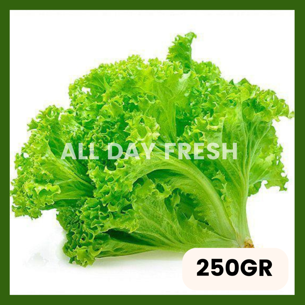 

[JABODETABEK] Sayur Selada Pack 250gr