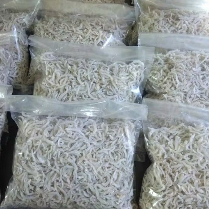 

Teri Nasi, Teri Medan