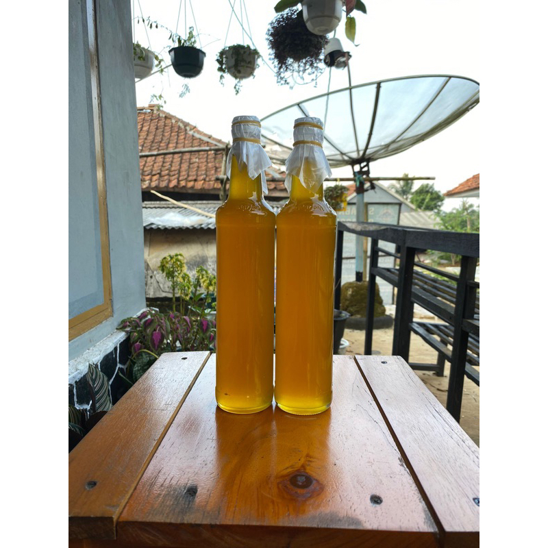 

Madu Salem Brebes Asli hutan liar 460 ml