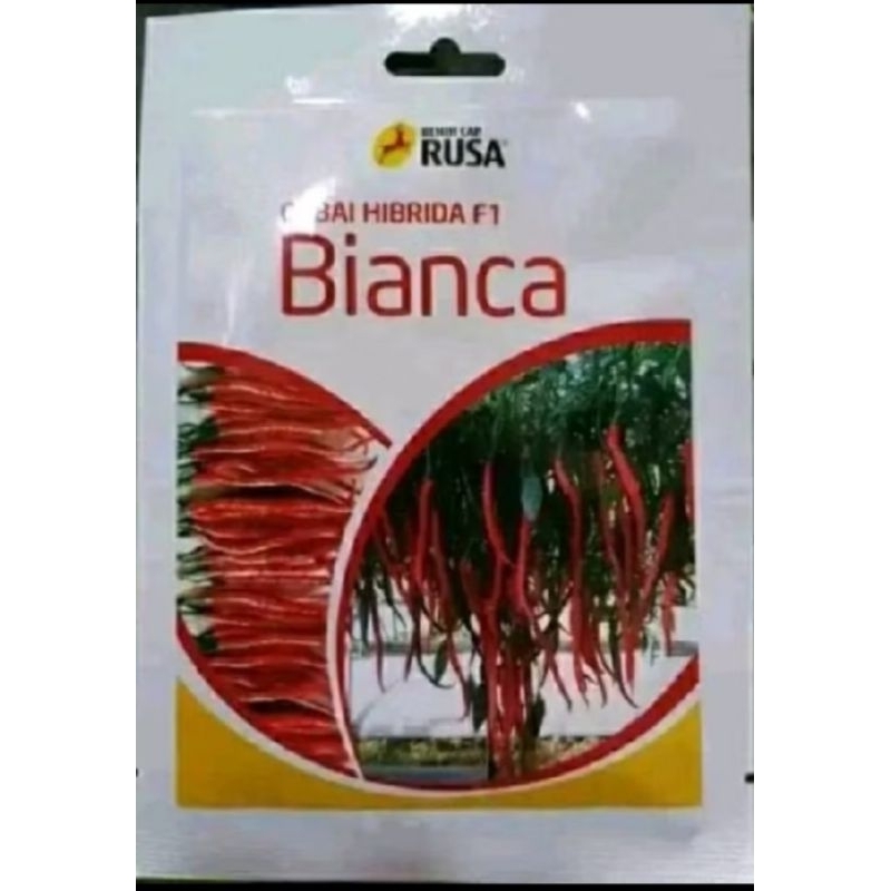 benih cabe keriting BIANCA F1