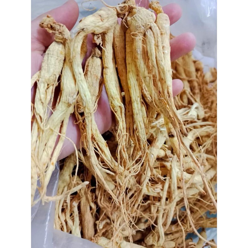 

Anak Ginseng kering 小干参 50-250gr