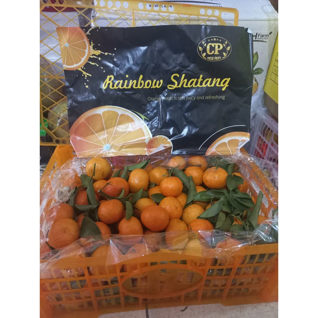 

SANTANG JERUK. MINI. ENAK. FRESH. JERUK BOTAK SANTANG. KUNING