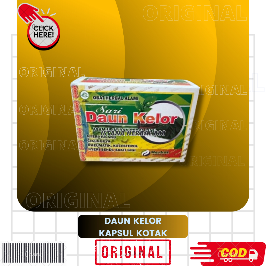 KAPSUL DAUN KELOR 1 KOTAK 100% ORI