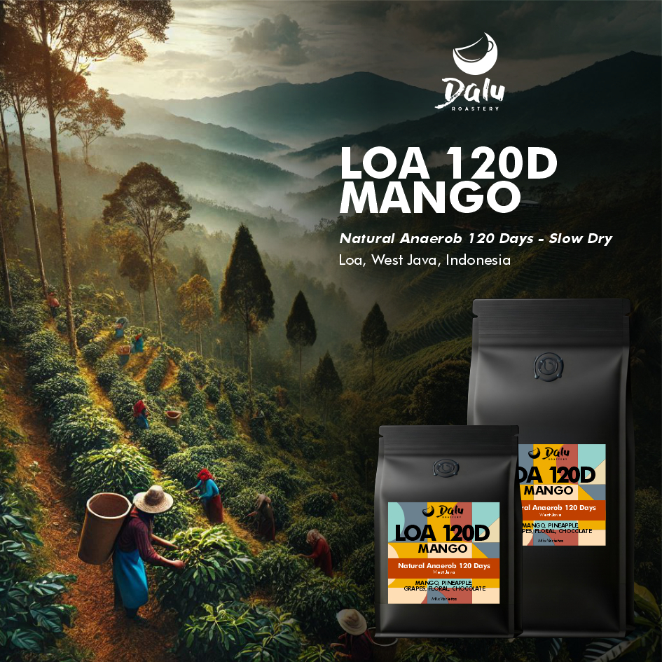 

Kopi Arabika LOA 120D Manggo 200 Gram
