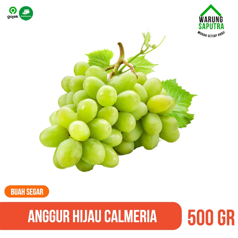 

Buah Anggur Hijau Calmeria Import Segar Manis 500g