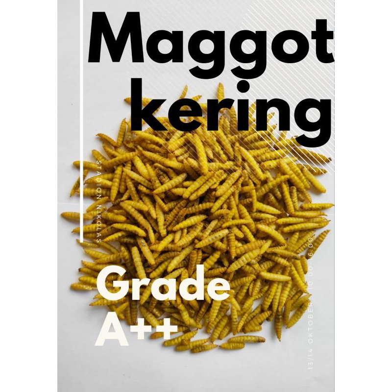 MAGGOT KERING paket 1kg