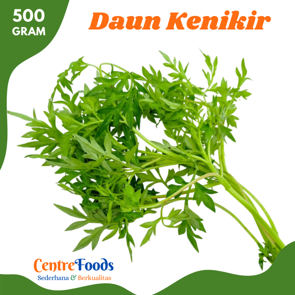 

DAUN Kenikir - Daun Ulam Raja Fresh | 500gr [ Harga Per 0,5 Kg ]