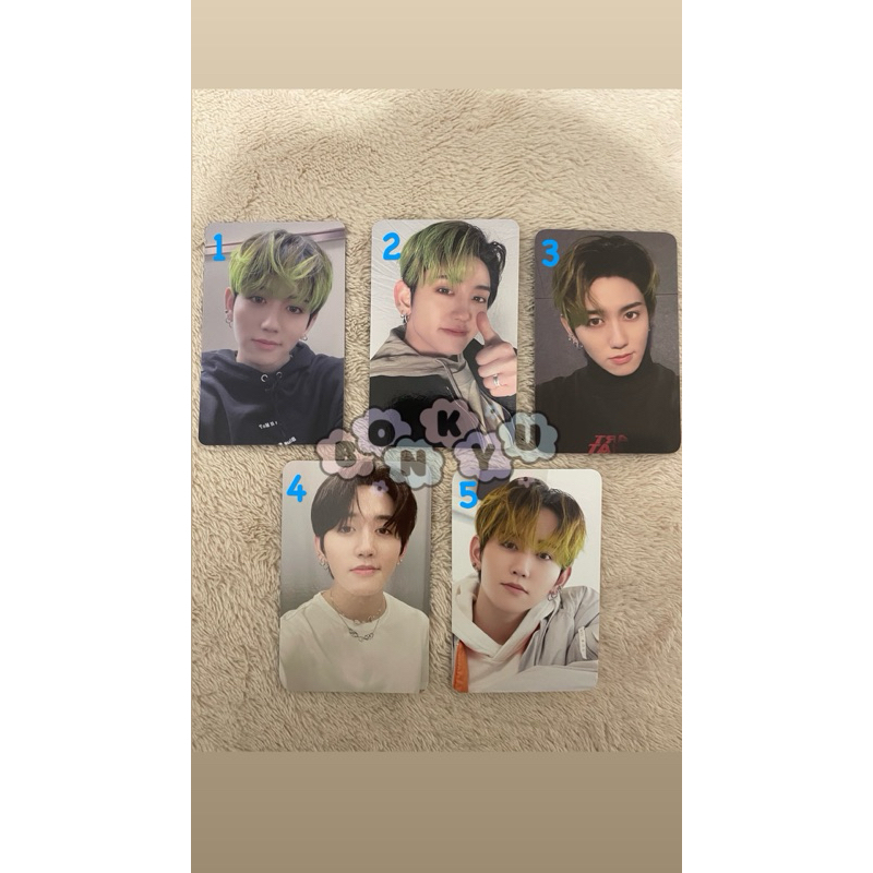 PC MASHIHO TREASURE