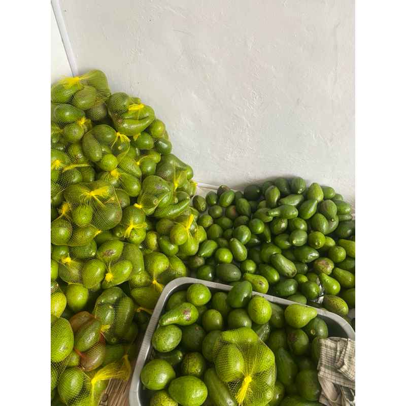 

Alpukat Mentega