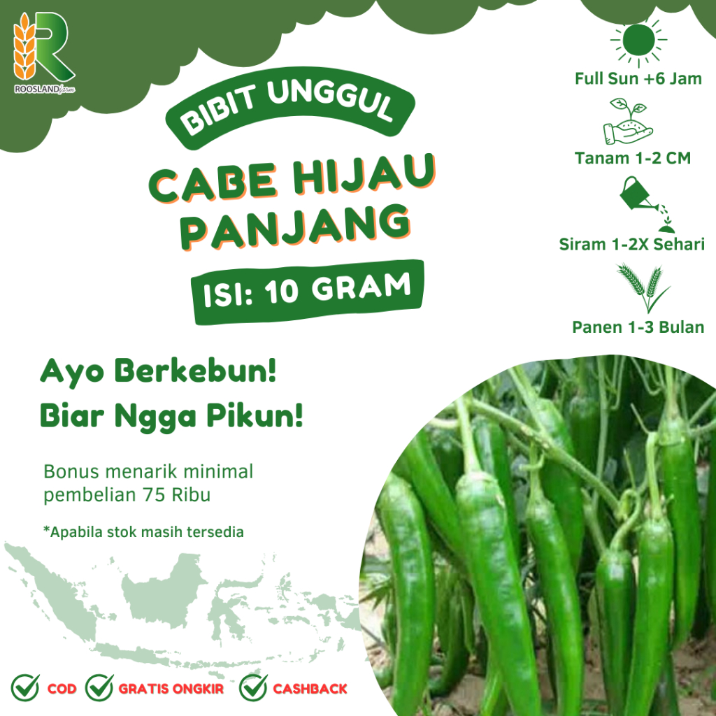 

BENIH CABE HIJAU PANJANG (10 GRAM)