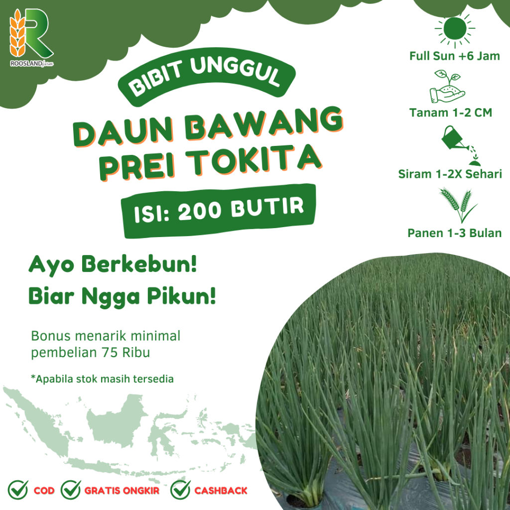 (200 BUTIR) BENIH BIJI DAUN BAWANG PREI TOKITA REPACK F1 PREMIUM