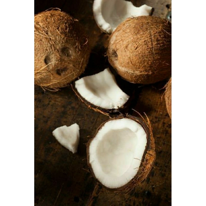 

kelapa tua daging tebal utuh perbiji