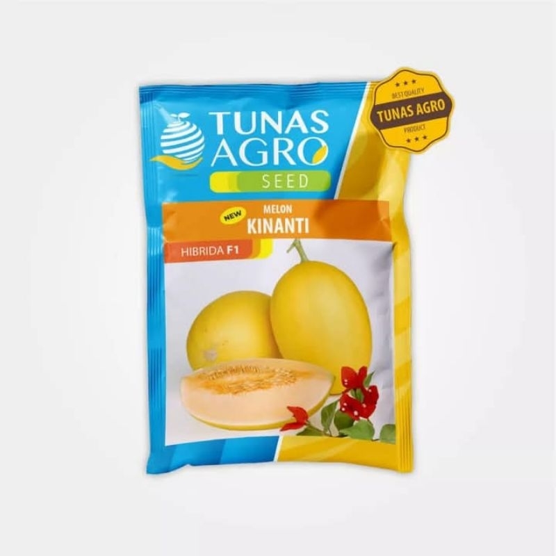 MELON NEW KINANTI F1 || TUNAS AGRO
