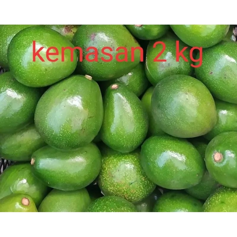 

alpukat miki kemasan 2 kg