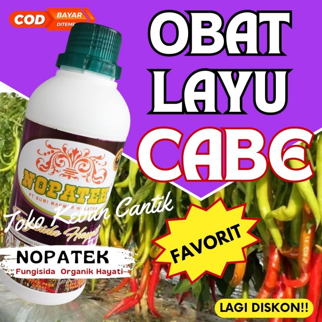 NOPATEK Obat Layu Fusarium Cabai 500ML – Cairan Anti Layu Fusarium Cabai Organik Ampuh, Solusi Layu 