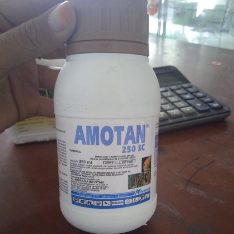Amotan fungisida 250ml cacar cabai