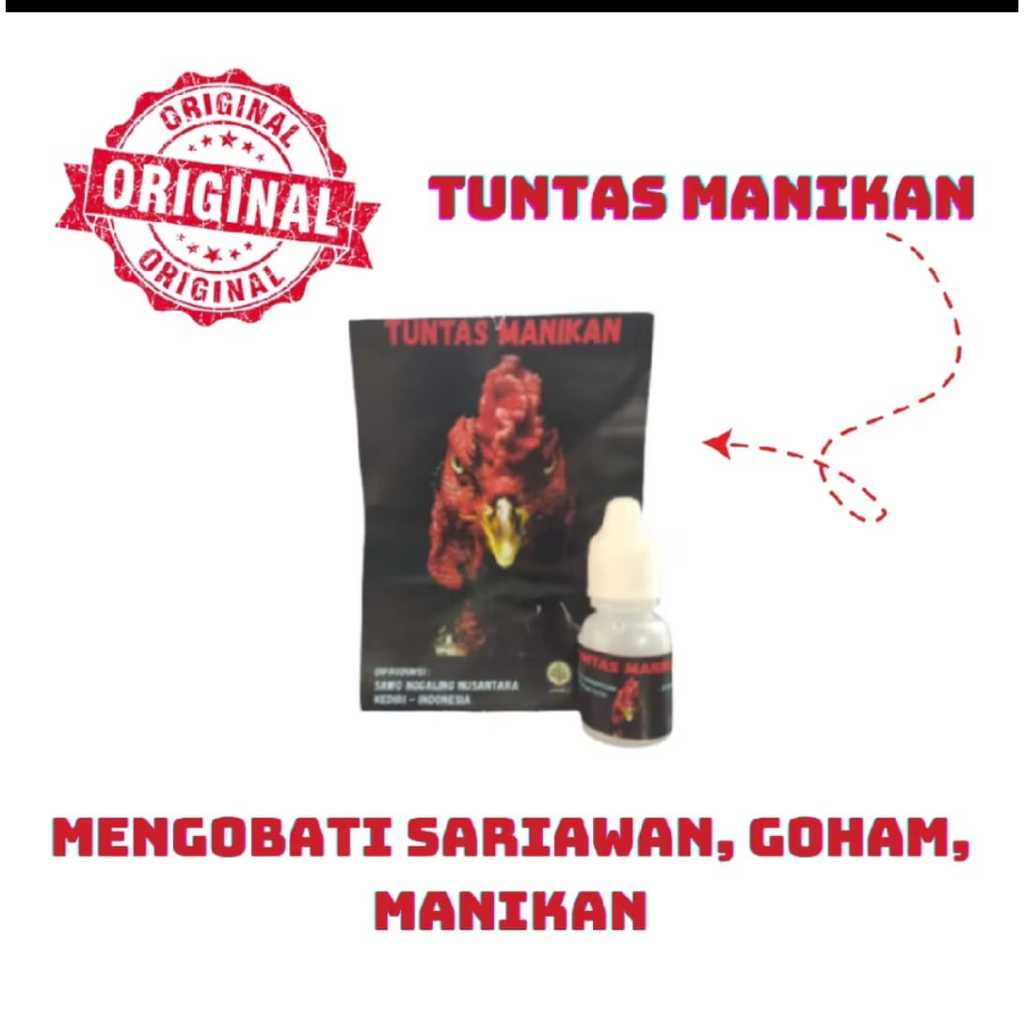 TUNTAS MANIKAN OBATI GOHAM MANIKAN AYAM SARIAWAN SAKIT PARAH AYAM PERAWATAN HEWAN