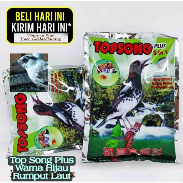 PROMO KICAU MART TOPSONG VOER COKLAT TOPSONG KUNING PUR PAKAN MAKANAN BURUNG OCEHAN MURAI KACER POCI