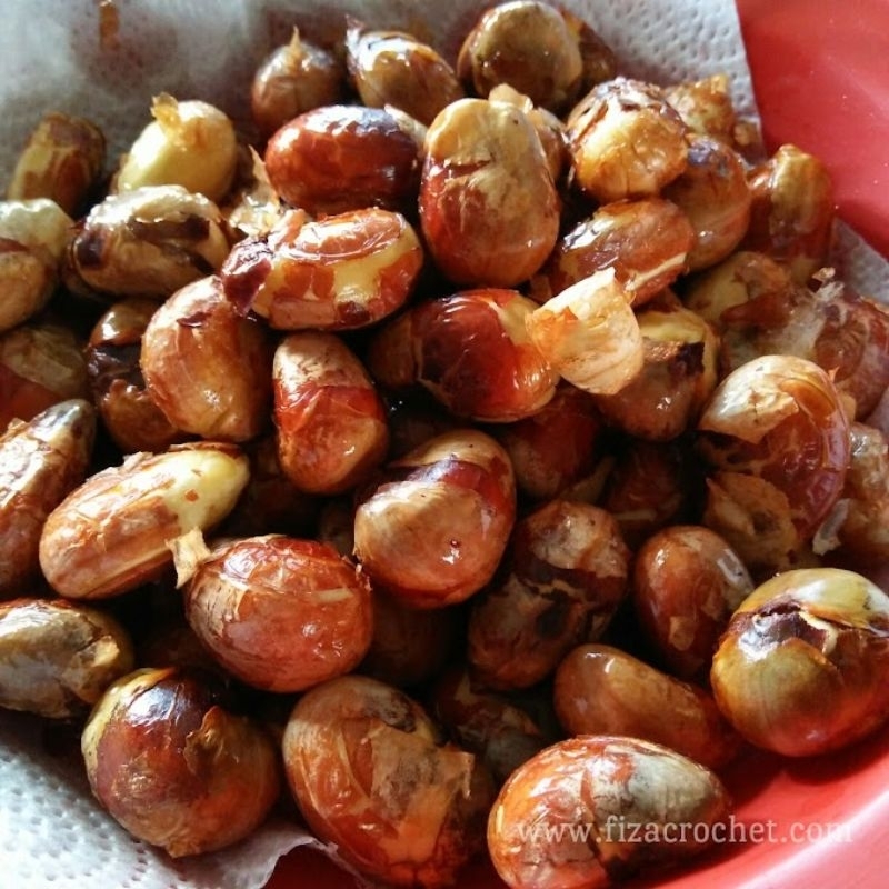 bibit biji nangka cempedak super per 500gram/biji nangka cempedak