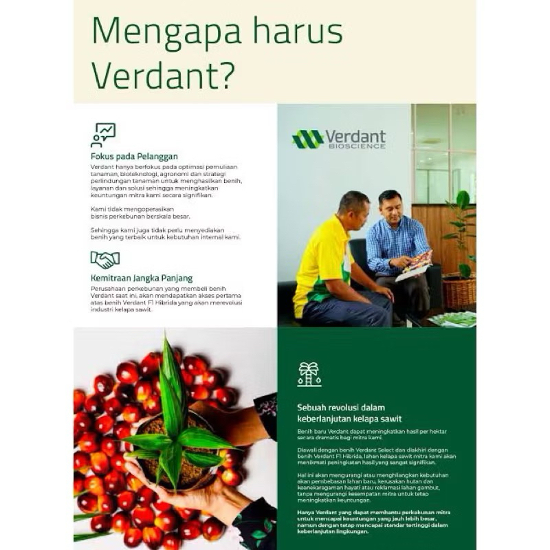 BIBIT/BENIH KECAMBAH SAWIT VERDAN SELECT UNGGUL ORIGINAL