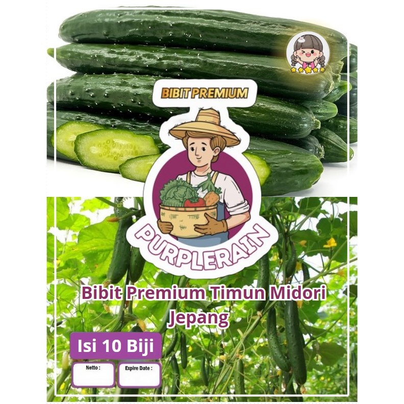 Bibit Premium Timun Midori Jepang | Biji Benih Ketimun Midori Jepang | Mentimun Jepang