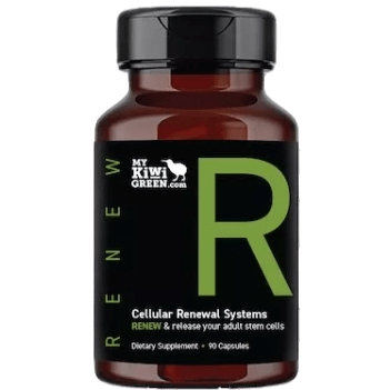 RENEW - Nutrisi Stemcell Original Asli - AFA Extract Stemtech Diperkaya dengan Fucoidan dan Cordicep