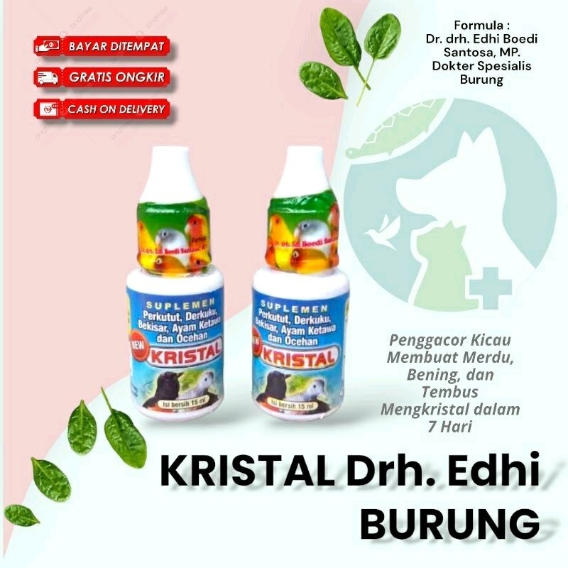 kristal dr edi vitamin burung murai perkutut