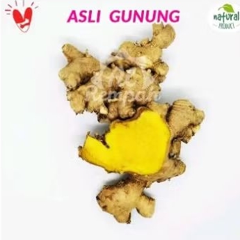 

RIMPANG BANGLE SEGAR FRESH NETTO 100 GRAM JAMU JAMUAN HERBAL