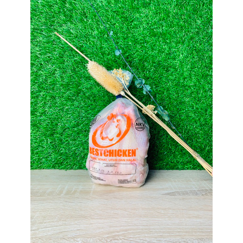 

Best Chicken ayam broiler utuh