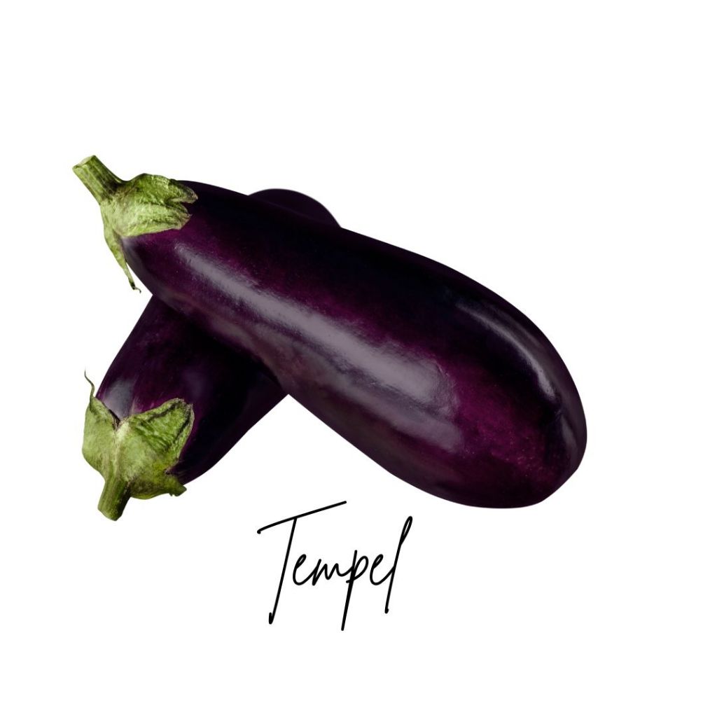 

Benih Terong Ungu Panjang Tangguh Unggul Berkualitas - Benih Bibit Sayuran