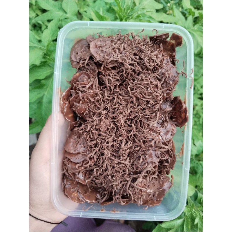 

keripik pisang coklat