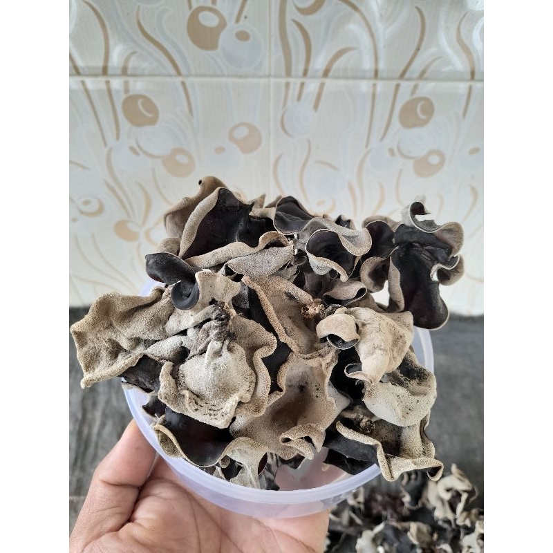 

JAMUR KUPING KERING /JAMUR KUPING HITAM GRADE A 250gr