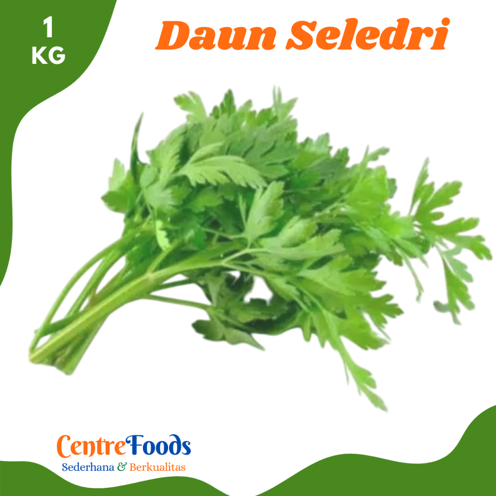 

DAUN Seledri Lokal - Daun Sop Fresh | 1.000gr [ Harga Per KG ]