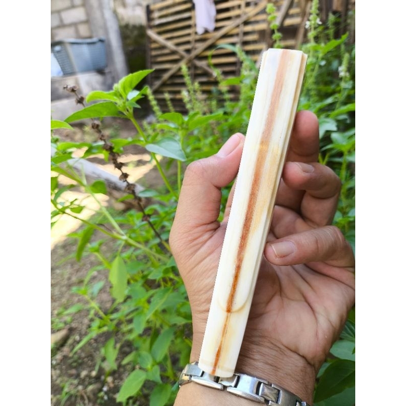 once pipa Pipo tulang marlin 15cm up premium rasa gurih di bawah cangklong gading - once marlin orig