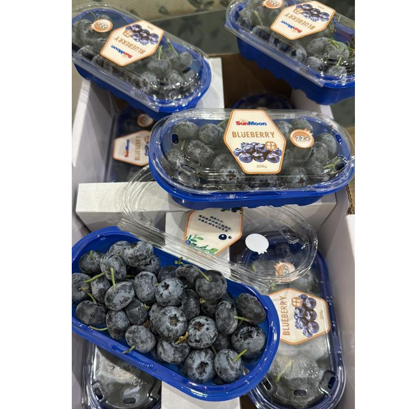 

BLUEBERRY SUNMOON CHINA - BLUEBERRY IMPORT - SUKABUAH