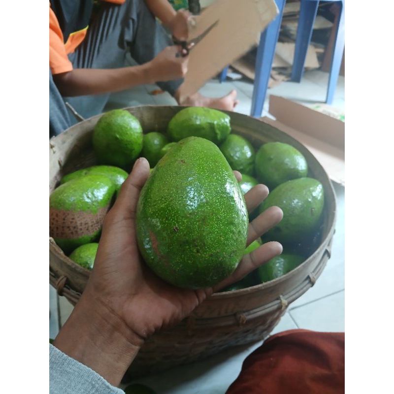 

alpukat mentega 1 kg isi2- 3-4 BERGARANSI
