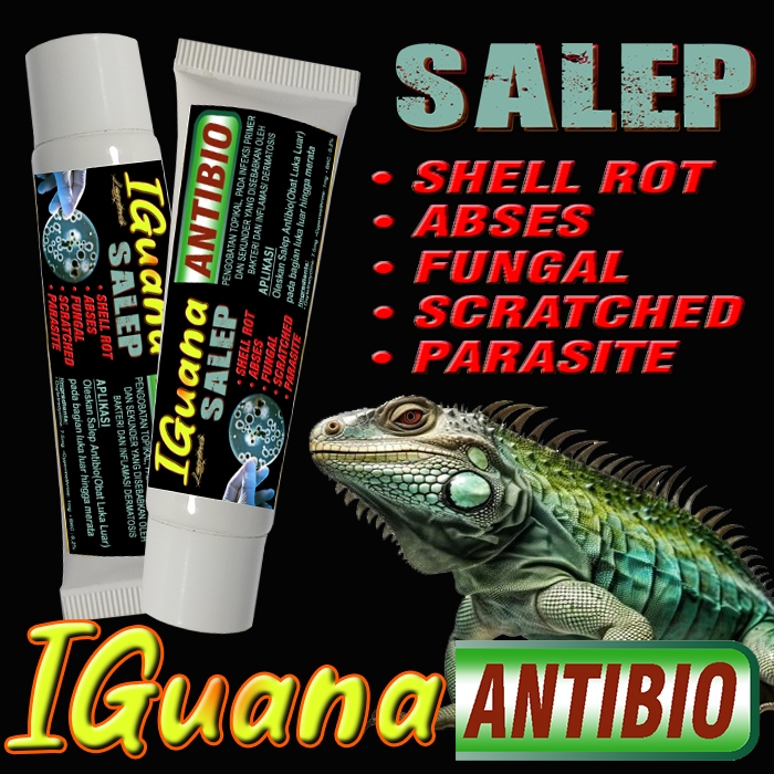 IGUANA ANTIBIO SALEP OBAT PENYAKIT KULIT HEWAN REPTILE MENGOBATI LUKA BOROK SHELL ROOT RUBBING JAMUR