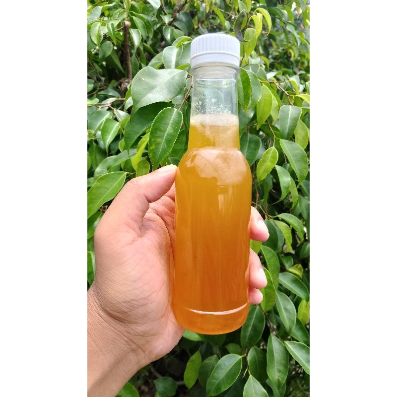 

Madu lebah Apis cerana liar 250ml